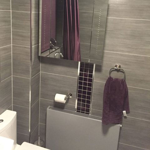 bathroom tiles toilet mirror